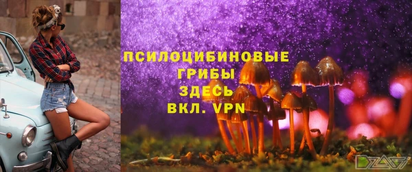 прущая мука Бронницы