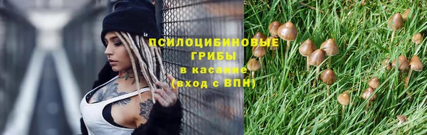 прущая мука Бронницы